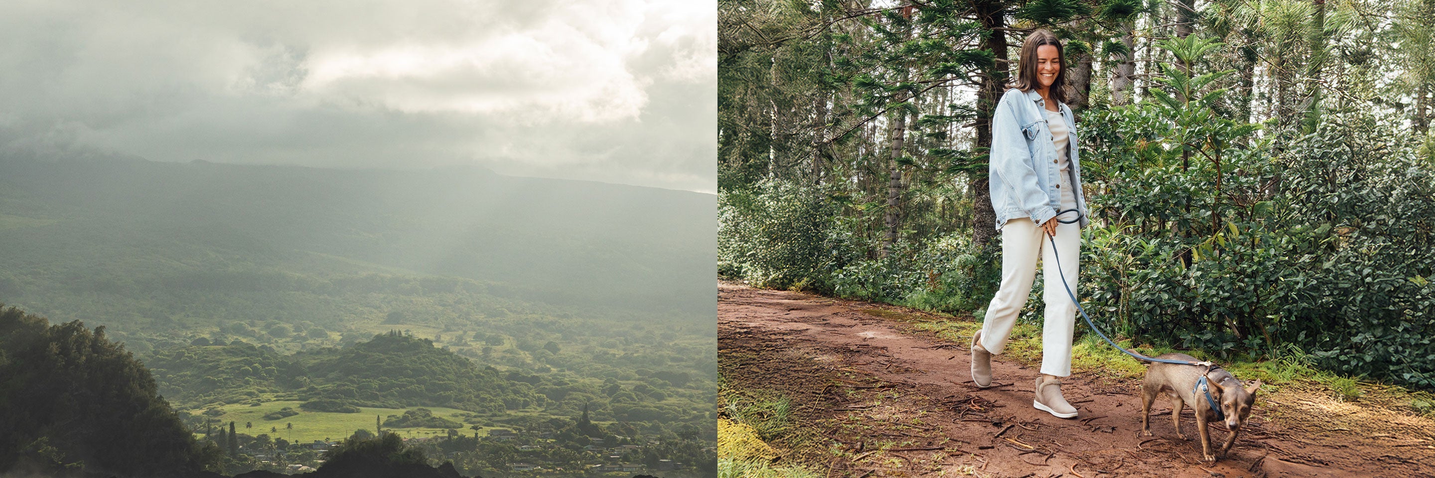 fallback text for an image